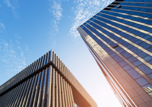 茨藻、普陀荷漫园林绿化工程有限公司、普陀茨藻、再力花、水葱、篦齿眼子菜、精品莲花、莲花小苗、精品荷花、生态浮岛。